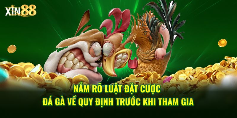 Luật đặt cược đá gà tại Xin88 – Cập nhật quy định cá cược 3 luật đặt cược đá gà 3