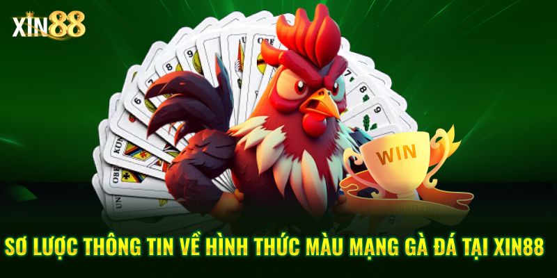 Màu mạng gà đá và cách ứng dụng ngũ hành khi đặt cược đá gà 2 màu mạng gà đá 2