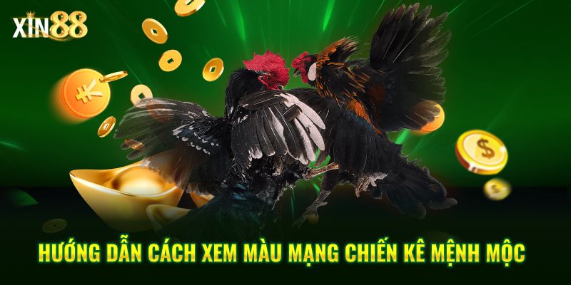 Màu mạng gà đá và cách ứng dụng ngũ hành khi đặt cược đá gà 3 màu mạng gà đá 3