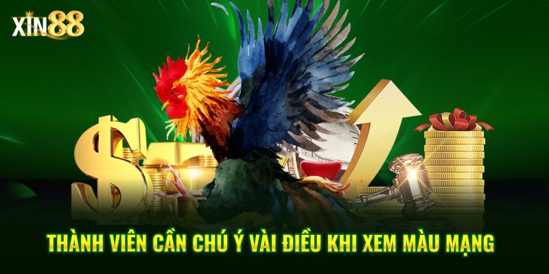 Màu mạng gà đá và cách ứng dụng ngũ hành khi đặt cược đá gà 4 màu mạng gà đá 4
