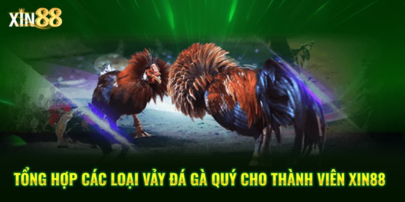 Vảy đá gà quý và kinh nghiệm chọn chiến kê chuẩn tại Xin88 1 các loại vảy đá quý 1